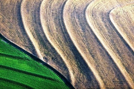 Cánh đồng ở Springfield, Nebraska, năm 2011